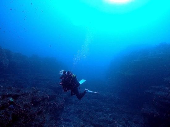 ファンダイビング 鵜原・行川エリア 生物豊富な勝浦の海を潜る！＜ビーチ or ボート／2ダイブ／勝浦市＞by マイダイブ