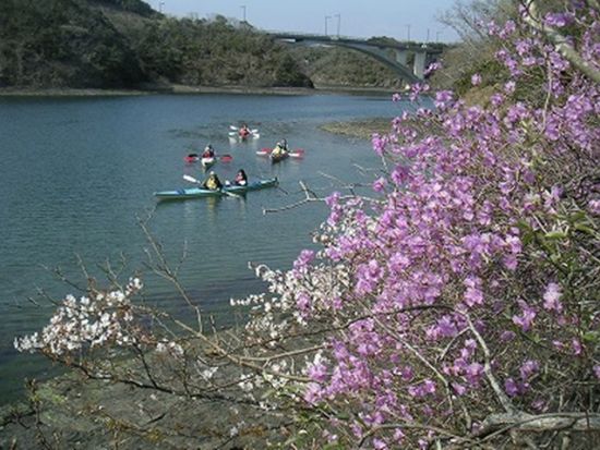 楽しい思い出を！ファミリーシーカヤック半日ツアー ＜子供を含むグループや家族限定／3～11月＞by 対馬エコツアー