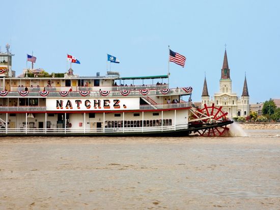 ミシシッピ川遊覧 デイクルーズ ＜2時間／ランチ付きプランあり＞