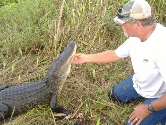 スリリングなボートで探検！エアボートツアー＜英語ガイド＞