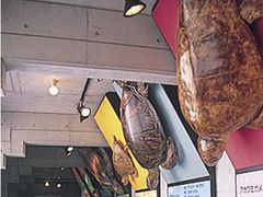 うみがめ博物館〈カレッタ〉