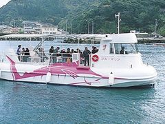 海中観光船ブルーマリン