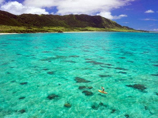 SUP体験　美しい海やマングローブの川を水面散歩　初心者歓迎！＜1グループ貸切／市街地ホテル送迎付／石垣島＞by にじいろのさかな