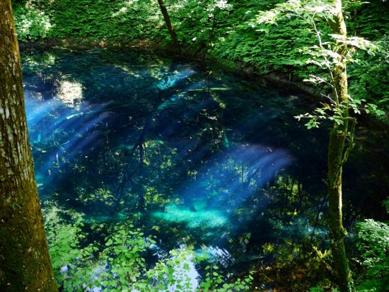白神山地ハイキング「十二湖」青池など湖をゆっくり散策＜初級/4~11月プライベートガイド/JR十二湖駅発着＞