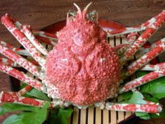 タカアシガニ料理