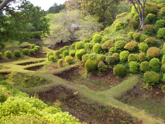 貸切観光タクシー　世界遺産 富士山を眺める十国峠＋山中城跡公園＋三島スカイウォーク＋三嶋大社＋柿田川湧水＜1日／1～9名／選べる出発時間／熱海市内送迎付＞ 