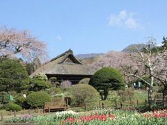 御殿場 秩父宮記念公園