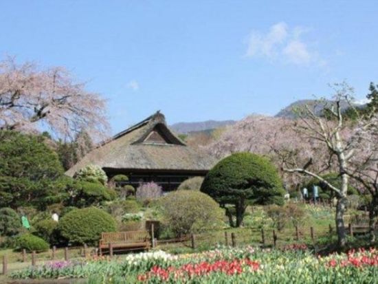 貸切観光タクシー　忍野八海＋柿田川湧水群＋御殿場秩父宮記念公園＜5時間半／1～9名／送迎付＞