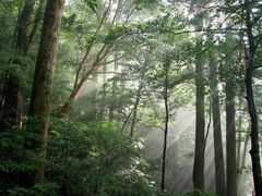 YNAC 屋久島野外活動総合センター5