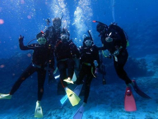 慶良間ファンダイビング　初心者やお一人での参加もOK！トイレ、シャワー完備の大型高速クルーザー＆水中写真無料＜1日／2～3ダイブ／那覇発＞