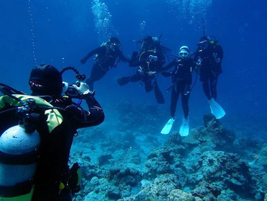 慶良間ファンダイビング　初心者やお一人での参加もOK！トイレ、シャワー完備の大型高速クルーザー＆水中写真無料＜1日／2～3ダイブ／那覇発＞