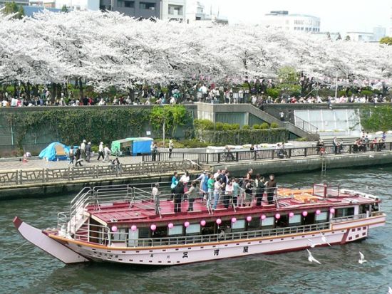 貸切屋形船 お台場周遊コース 本格江戸前料理＆飲み放題付 座敷・テーブル・掘りごたつから選べる座席タイプ カラオケ・大画面モニター完備！＜北品川発＞by三河屋