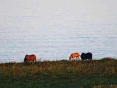 琵琶湖展望台からの景色