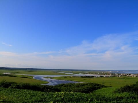 観光タクシー 海岸線＆変わった地名コース＜釧路発＞～厚岸・霧多布湿原～ 4名参加で1名9,700円～by 釧路日交タクシー