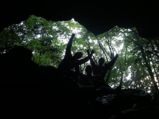青木ヶ原樹海半日トレッキングツアー 神秘の樹海散策とありのままの自然が残る溶岩洞窟探検で氷柱見学＜午前・午後／富士河口湖町＞