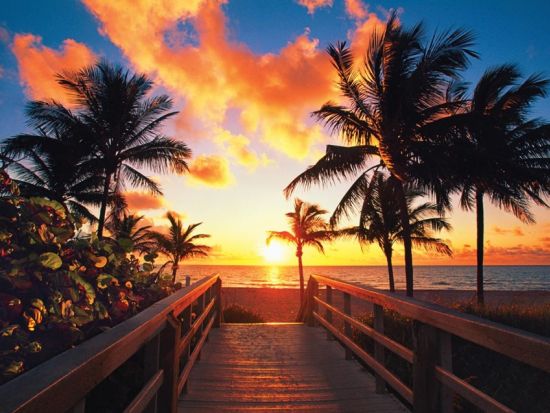 キーウエスト日帰り観光ツアー　到着後は約5時間のフリータイムで自由に観光 ＜英語ドライバー＞