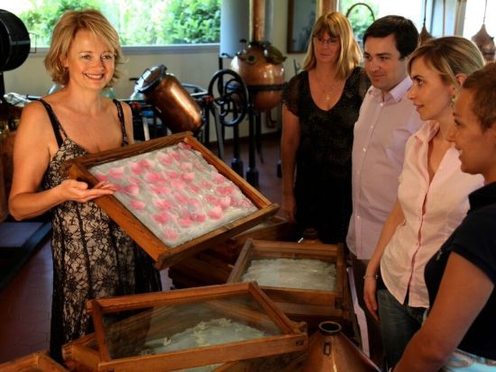 南仏でオリジナル香水づくり体験！ガリマール社 (Parfumerie GALIMARD)　＜午前・午後／英語／グラースまたはエズ＞