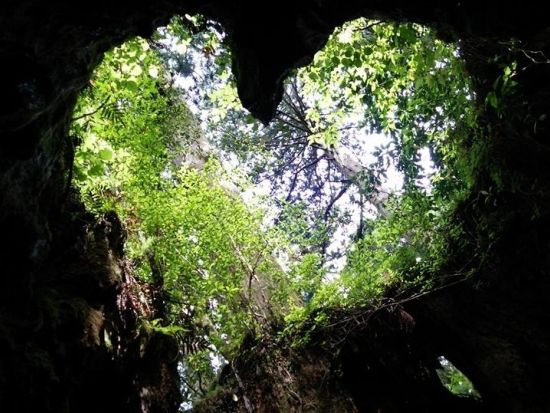 縄文杉1日＋白谷雲水峡半日（苔むす森）or 1日（太鼓岩まで）2日間トレッキングツアー by A・N・D