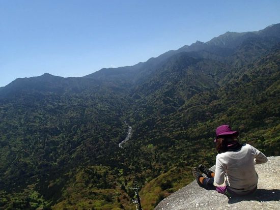 白谷雲水峡1日（太鼓岩まで）トレッキング  神秘の森「苔むす森」、屋久島の森を大パノラマで一望できる「太鼓岩」を堪能 ＜登山装備レンタル付＞ by A・N・D