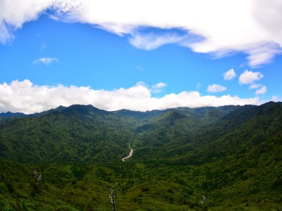 白谷雲水峡1日（太鼓岩まで）トレッキング  神秘の森「苔むす森」、屋久島の森を大パノラマで一望できる「太鼓岩」を堪能 ＜登山装備レンタル付＞ by A・N・D