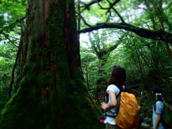 白谷雲水峡半日トレッキング（苔むす森まで）＋リバーカヤック＋SUP 屋久島の海も川も満喫！盛りだくさん1日ツアーby A・N・D