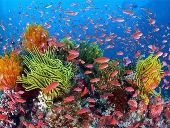 10959797_811452502260700_2571183397070892581_n