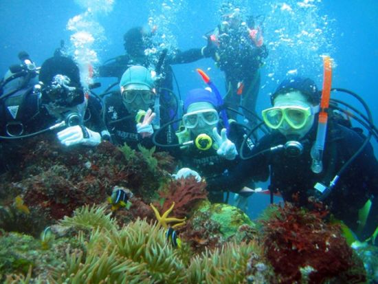 体験ダイビング 東伊豆・伊東市 毎年1000名以上がご参加中！指導歴25年以上のインストラクターで安心♪　＜ビーチ／1ダイブ＞ by ダイブショップ宝島