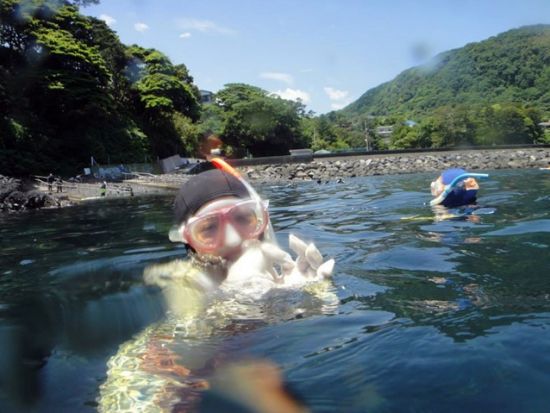 シュノーケリングツアー　公認インストラクターがガイド！人気の富戸や伊豆海洋公園で地上にはない感動体験！＜城ヶ崎海岸駅お迎え可／伊東市＞by ダイブショップ宝島