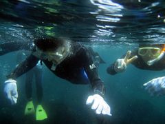 Dive Shop 宝島
