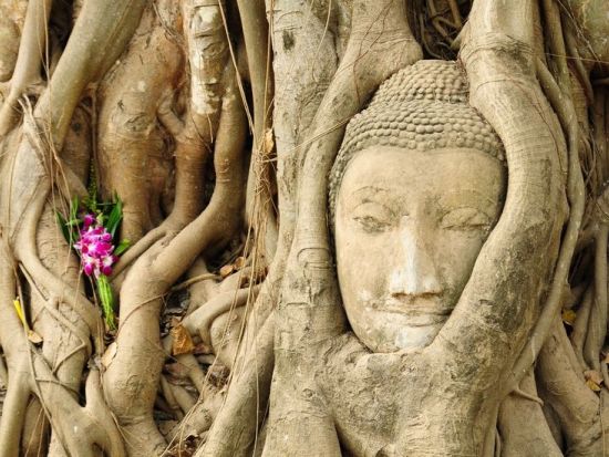 アユタヤ遺跡＋フォトジェニック観光ツアー ピンクのガネーシャ＋ワットパクナム＋ナイトマーケット　象乗り体験・タイ料理ランチ付きプランあり＜1日／日本語＞