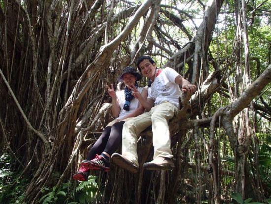 父島フォレストウォーク 動植物や地形など参加者の希望に合わせたコースで亜熱帯の森を満喫！＜1日／送迎付き／小笠原諸島・父島発＞by 竹ネイチャーアカデミー