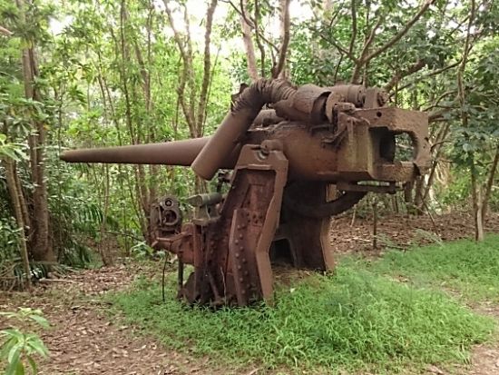 父島に眠る戦跡を歩く 歴史めぐり半日ツアー[竹ネイチャーアカデミー/父島]