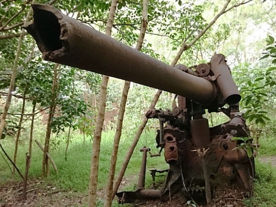 父島に眠る戦跡を歩く 歴史めぐり半日ツアー[竹ネイチャーアカデミー/父島]