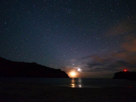 父島ナイトツアー　夜の森で貴重な小笠原固有の生き物探しと日本一の星空観賞＜夜／送迎付き／小笠原諸島・父島発＞by竹ネイチャーアカデミー