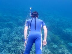 竹ネイチャーアカデミー 父島スノーケリング02
