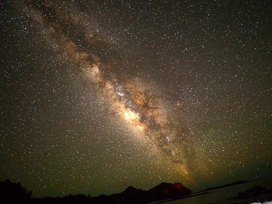 父島ナイトツアー　夜の森で貴重な小笠原固有の生き物探しと日本一の星空観賞＜夜／送迎付き／小笠原諸島・父島発＞by竹ネイチャーアカデミー