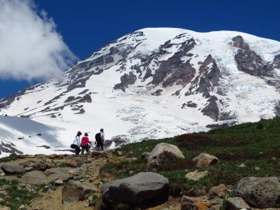 マウント・レーニア国立公園　1日観光ツアー ＜7～10月／日本語ドライバーガイド＞