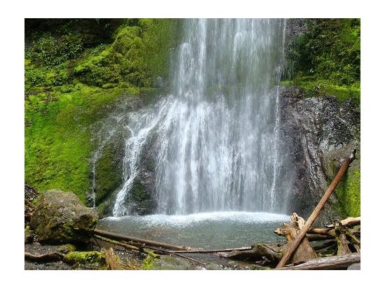 オリンピック国立公園　1日観光ツアー ＜7～10月／日本語ドライバーガイド＞