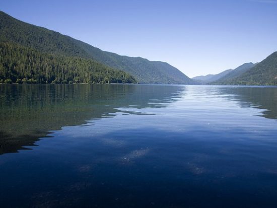 オリンピック国立公園 ホー・レインフォレスト　1日観光ツアー ＜6～10月／日本語ドライバーガイド＞