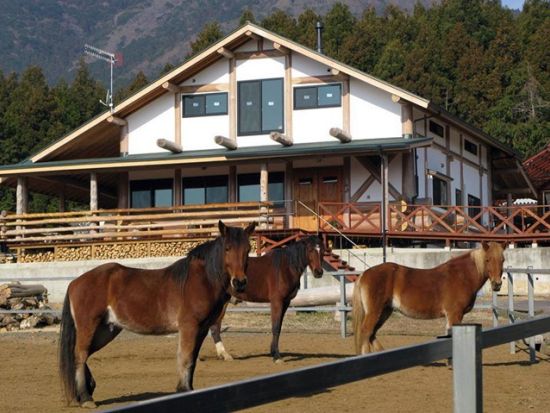 乗馬体験　初めての乗馬にもおすすめ！馬と一緒に景色を満喫[風来里馬小屋/石岡市]