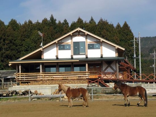 乗馬体験　初めての乗馬にもおすすめ！馬と一緒に景色を満喫[風来里馬小屋/石岡市]