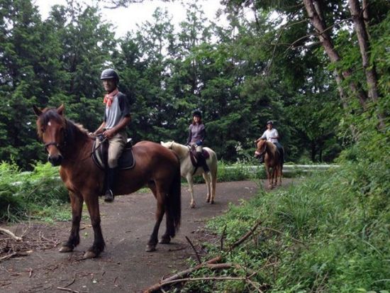 乗馬体験　初めての乗馬にもおすすめ！馬と一緒に景色を満喫[風来里馬小屋/石岡市]