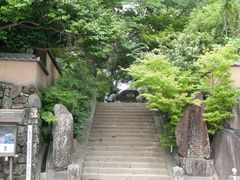 IMG_0269-s