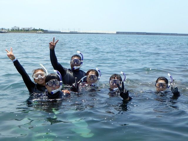水中生物と触れ合おう スノーケリング 体験 三浦 海の学校 三浦市 鎌倉 湘南 三浦の観光 遊び 体験 レジャー専門予約サイト Veltra ベルトラ