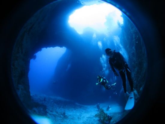 ボートナイトファンダイビング　サンゴの産卵やき夜光虫が見られるかも！水中カメラの貸出可 ＜1ダイブ／名瀬市内ホテル送迎可＞ by マリンスポーツ奄美