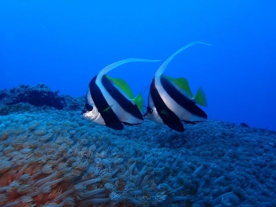 マナファクトリー３