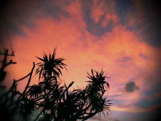 サンセットシーカヤック 夕暮れの海の上で沈む夕陽を眺めよう＜恩納村＞