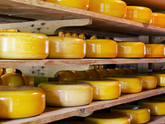 Edam cheese public weighing house