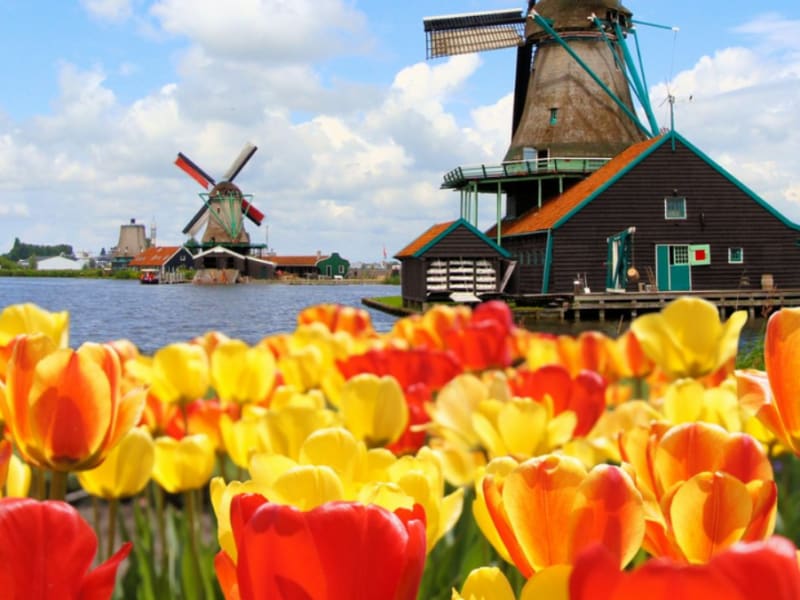 Netherlands, volendam, zaanse schans, windmills