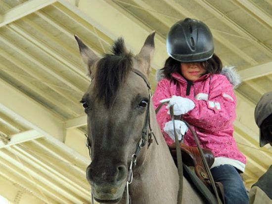 乗馬体験　緑豊かな高原で馬と触れ合おう＜一関市／送迎可＞